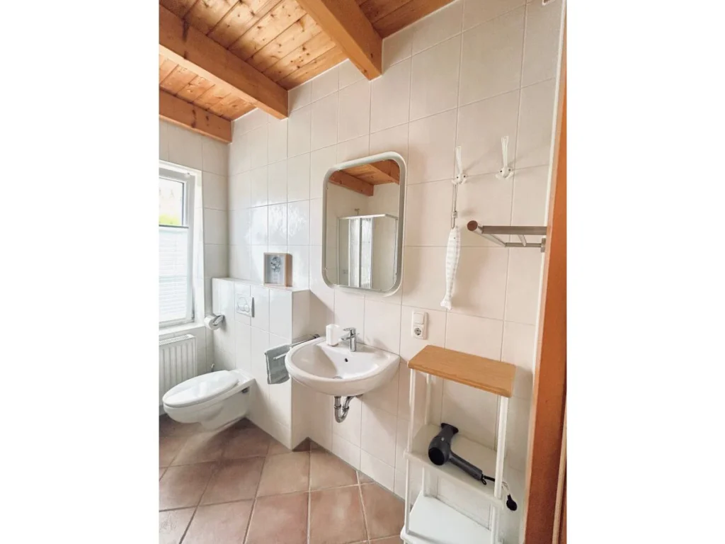 badezimmer-im-eg-mit-dusche